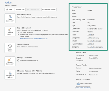 Microsoft Word metadata information fields, showing some blank and some edited metadata fields.
