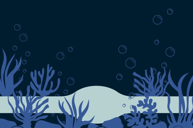 ExpressVPN network clogged by data packet stuck in undersea cable