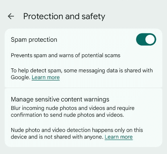 Google Protection and safety settings with Spam protection enabled.