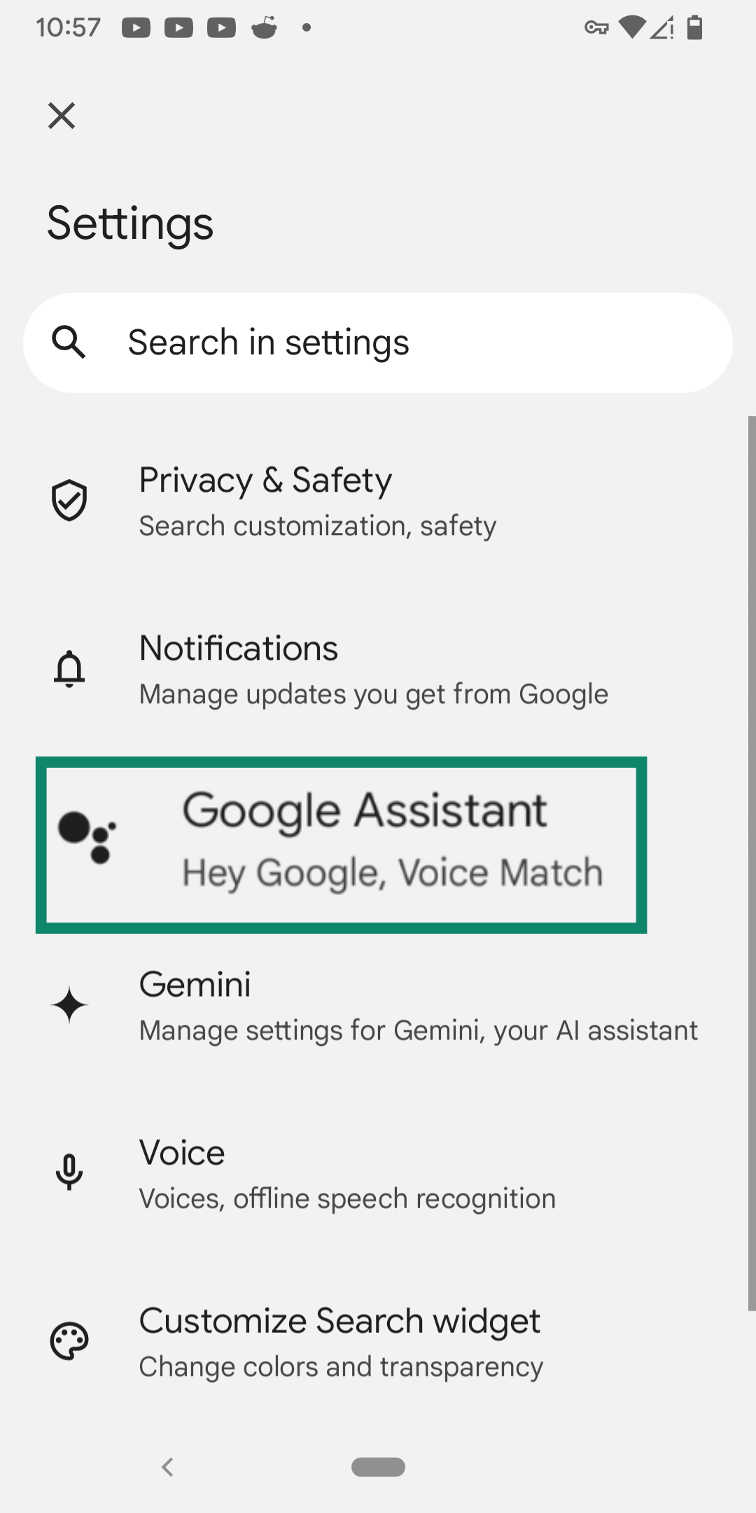 Google Assistant within the Google Settings screen.