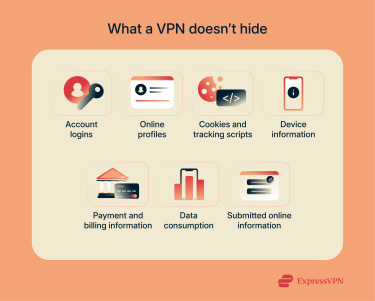 An infographic showing the main things a VPN won't hide when you're online.