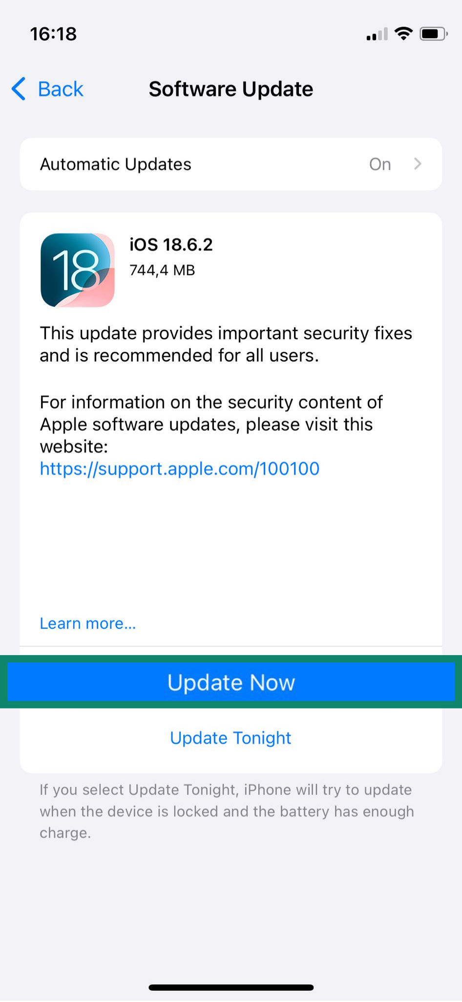 iPhone software update options.
