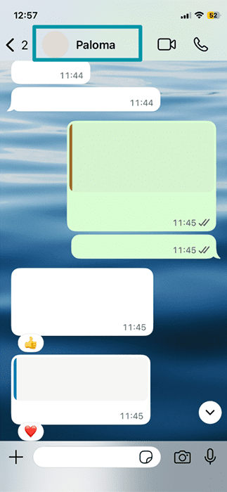 An WhatsApp chat on iOS, with the name of the participant on the other end highlighted.