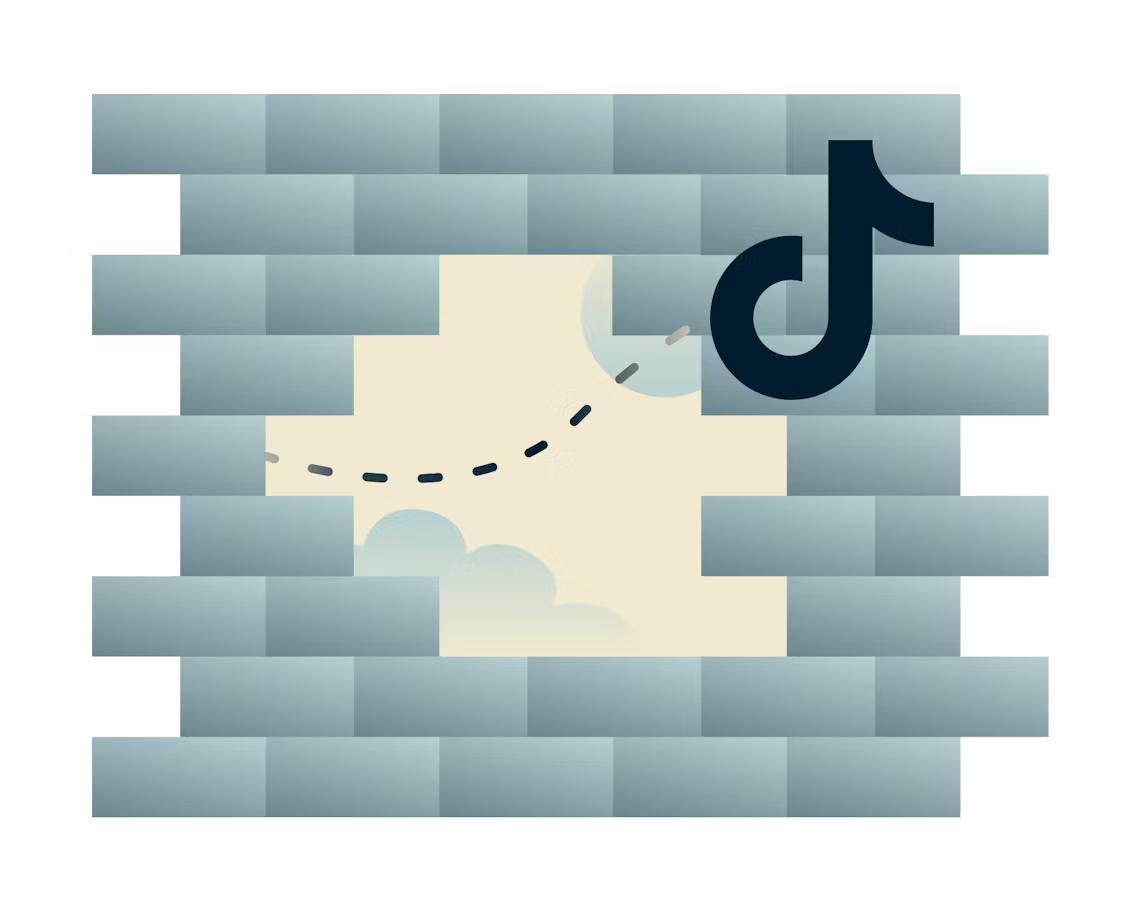 Unblock TikTok with a VPN