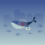 How to identify and prevent a whaling attack