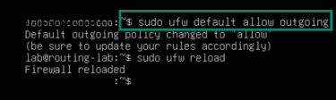 Allowing outbound traffic in Linux through terminal.
