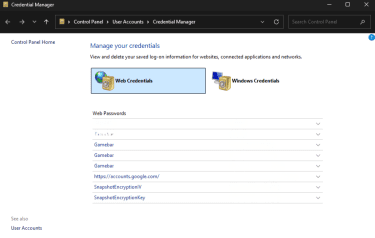 Windows Credential Manager main screen