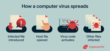 How a virus activates through an infected file and spreads to other programs.
