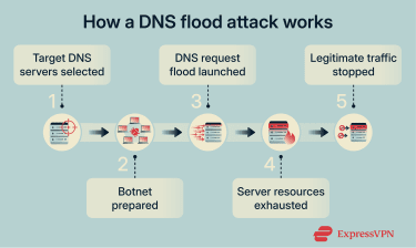 Lifecycle of a DNS flood attack