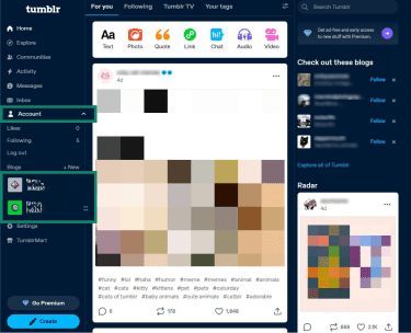 How to check which blogs are connected to your primary Tumblr blog